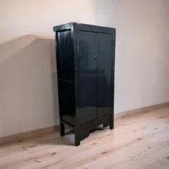 Wandkast 2 deurs lak uniek blauw