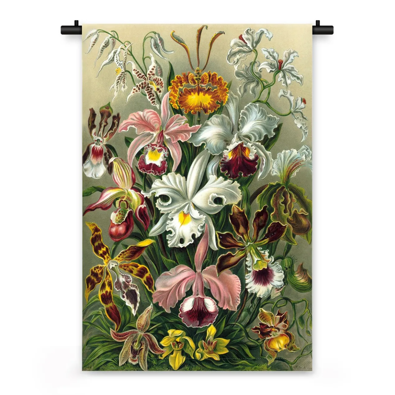 Wandkleed Illustratie van exotische bloemen 120 x 80 cm