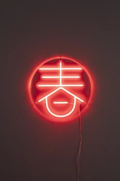 Wandlamp Neon Sya Spring