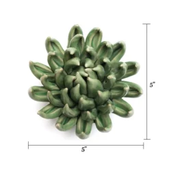 Wandornament Flower Jade Succulent