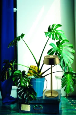 Zafferano oplaadbare tafellamp Sister Light wifi groen