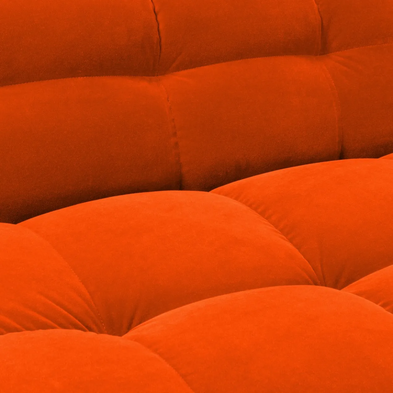 1-zitsbank Fat Joe royal orange