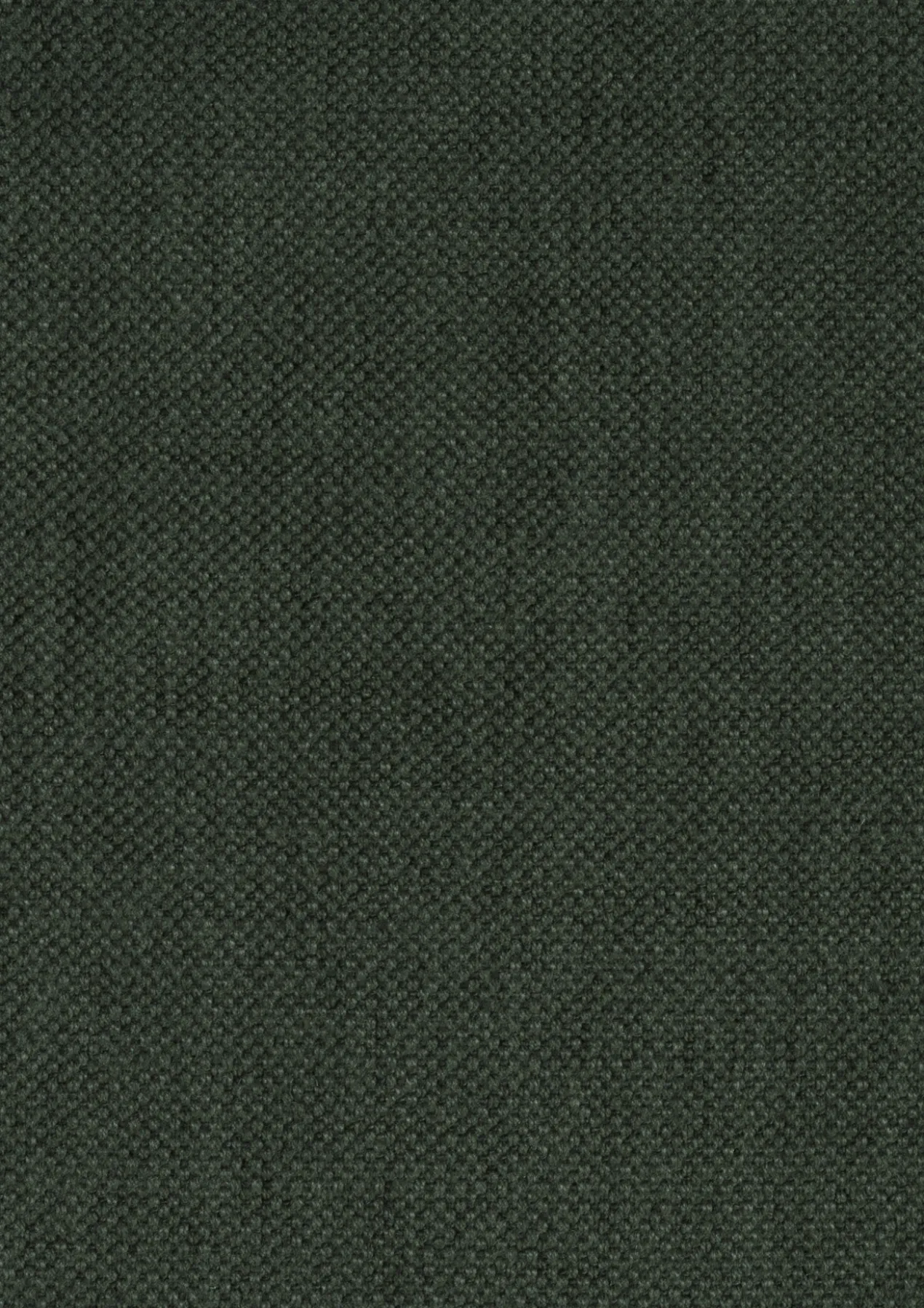 3-zitsbank Mare shadow forest
