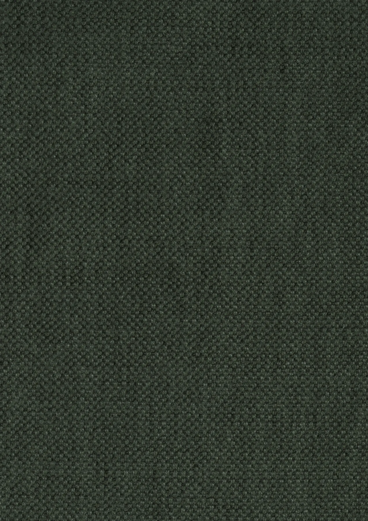 5-zitsbank Mare shadow forest