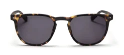 Zonneleesbril LL17AS The George turtle +2.00
